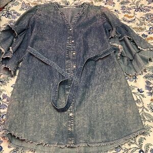 Denim Ruffle Sleeve Women's dress